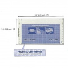 NCR Pre-Printed Envelope Mailer Form - Payslip - 3-Ply 2-Ups - 9.5" x 11" 500 Fans (Item No: C01-17) A5R1B16